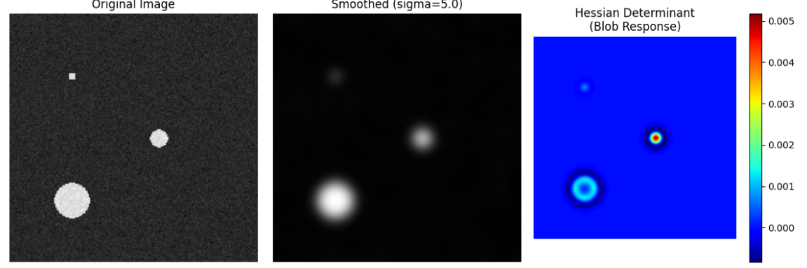 Hessian Blob Detection Result